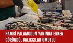 Hamsi Palamudun Yanında Erken Göründü, Balıkçılar Umutlu