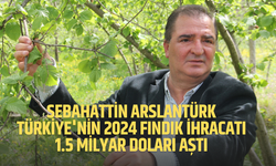 Türkiye'nin Fındık İhracatı 2024'te Rekor Kırdı: 8 Ayda 1.5 Milyar Dolar Döviz Girdisi Sağlandı