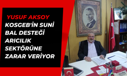 Yusuf Aksoy: KOSGEB'in Suni Bal Desteği Arıcılık Sektörüne Zarar Veriyor