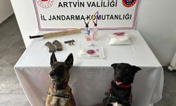 Artvin'de Jandarma Operasyonunda Uyuşturucu ve Silah Ele Geçirildi