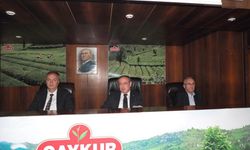 ÇAYKUR'dan Üreticilere 20 Ekim'e Kadar Yaş Çay Alım Süresi Uzatımı