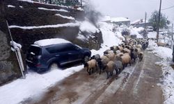 Giresun’da kar yağışı nedeniyle mahsur kalan çobanlar kurtarıldı