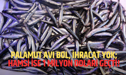 Palamut Avı Bol, İhracat Yok; Hamsi İse 1 Milyon Doları Geçti!