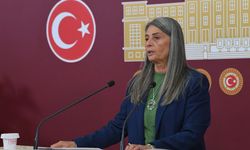 Sibel Suiçmez: "Kahverengi Kokarca Sorunu Çözülmezse Büyük Kayıplar Olacak"