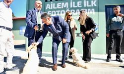 Trabzon'da sahipsiz hayvan kalmayacak: Ahmet Metin Genç, 20 köpeği sahiplendirdi