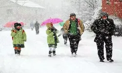 Trabzon'da Eğitime Kar Tatili (Hangi ilçelerde 1 gün)