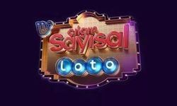 4 Kasım Pazartesi 2024 Sayısal Loto sonuçları - Çılgın Sayısal Loto sorgulama ekranı