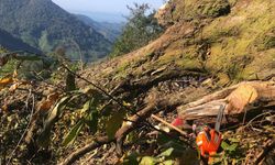 Artvin’de kestiği ağaç üzerine devrilen Tuncay Aydın hayatını kaybetti