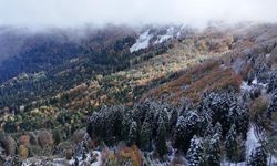 Artvin'in dağlarında kış, köylerinde sonbahar yaşanıyor