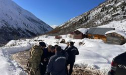 Ayı saldırdığı için ahırdan kaçan sürü 20 gündür Rize'nin karlı dağlarında aranıyor