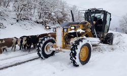 Amasya’da 107 köy yolu kar yağışından ulaşıma kapandı