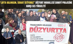 “Kimin malını pay ediyorlar!” Düzyurtlular’dan sanayi sitesi projesine tepki