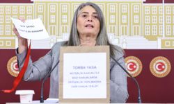 Sibel Suiçmez’den “Torba Yasa” Eleştirisi: “Anayasaya Aykırı”