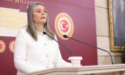 CHP Trabzon Milletvekili Sibel Suiçmez: “Kadına Yönelik Şiddet Politiktir ve İnsan Hakları İhlalidir”