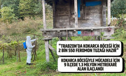 Trabzon’da kokarcayla mücadelede 1 milyon 312 bin metrekarelik alan ilaçlandı