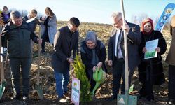 Her bebek bir fidan: Yeni doğan bebekler adına fidan diktiler