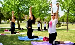 8500 yıllık tarihte yoga buluşması