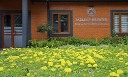 Akçaabat Belediyesi’nden 100 Bin Çiçekli Peyzaj Hamlesi