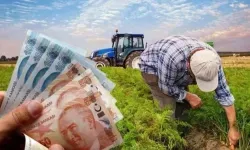 Çiftçilere 865 milyon TL'lik destek ödemesi hesaplarda