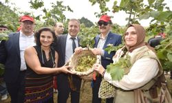 Trabzon'da Fındık Hasat Şenliği Başladı