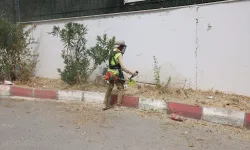 Kocaeli okul bahçelerinde otlar biçiliyor