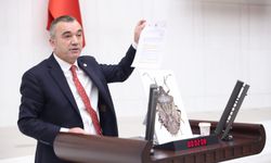 Aydın’dan üç bakana kahverengi kokarca skandalı hakkında ayrı ayrı soru önergeleri