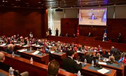 Sokak Hayvanları İçin Düzenleme