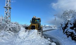 Yüksek kesimlerde mücadele aralıksız sürüyor