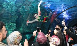 Tünel Akvaryum’da Su Balesi Gösterisi, 14 Şubat Sevgililer Günü’ne Heyecan Kattı