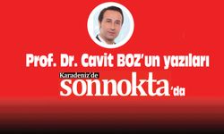 Cavit BOZ Karadeniz'de Sonnokta'da yazacak
