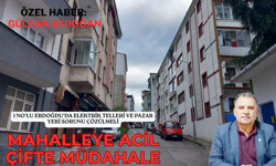 1 NO’LU ERDOĞDU’DA ELEKTRİK TELLERİ VE PAZAR YERİ SORUNU ÇÖZÜLMELİ