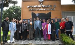 Ortahisar Belediyesi’nden ‘Dünya Sokak Hayvanları Günü’nde Anlamlı Çağrı