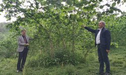 Akçaabat Ziraat Odası Başkanlığından Mayıs Uyarısı