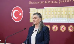 Milletvekili Suiçmez:  "Anayasa'ya Aykırı Madde Komisyondan Geçmemelidir"