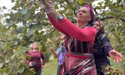 MİLLETVEKİLİ SUİÇMEZ: TABAN FİYATINI EN AZ 350 TL OLARAK DERHAL AÇIKLAYIN
