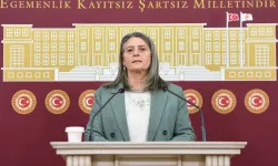 MİLLETVEKİLİ SUİÇMEZ SEL BASKINLARINI MECLİS'E TAŞIDI