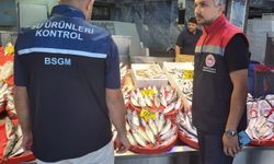 BALIK SATIŞ YERLERİNDE HİJYEN VE TAZELİK DENETİMİ YAPILDI