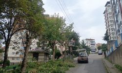 ORTAHİSAR BELEDİYESİ’NDEN KENTE SONBAHAR DOKUNUŞU