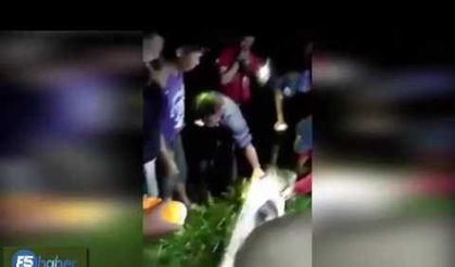 Endonezya'da 7 metrelik piton insan yuttu