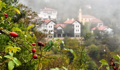 Süleymaniye Mahallesi'nde Sonbaharın Büyüsü: Sis ve Renkler Buluştu