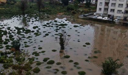 Rize’deki şiddetli yağıştan tarım arazileri de nasibini aldı