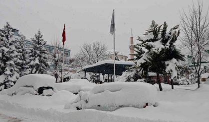 Artvin şehir merkezinde kar esareti