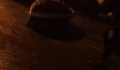 Karayolunu kapatan kayayı aracıyla çekerek yolu trafiğe açtı