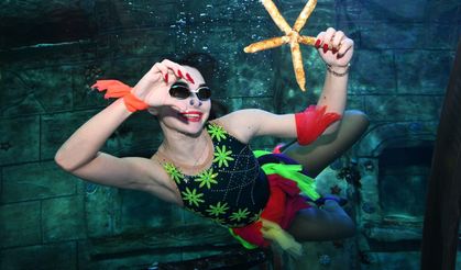 "Bale Gösterisi" Ramazan Bayramı'nda yeniden buluşacak