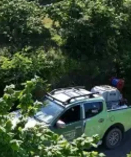 Kahverengi kokarca FINVER bahçelerinde takip altında