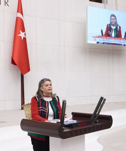 "KADINA ŞİDDET VAKALARINDA BAROLAR DA DAVALARA KATILSIN"