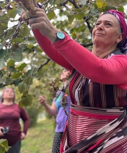 MİLLETVEKİLİ SUİÇMEZ: TABAN FİYATINI EN AZ 350 TL OLARAK DERHAL AÇIKLAYIN