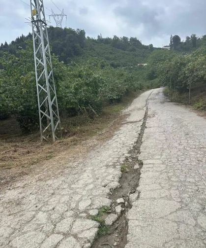 KÖPEK BARINAĞININ  FATURASI MI!