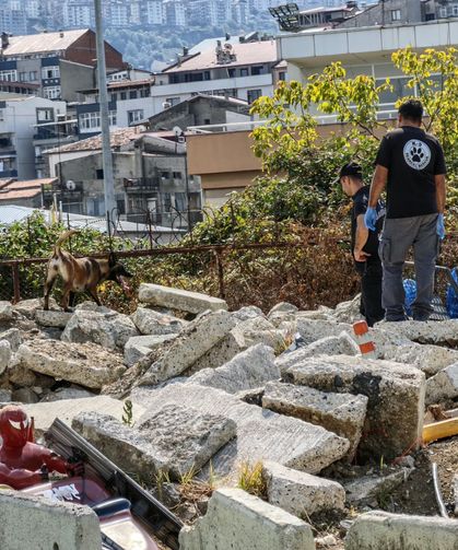 ARAMA KÖPEKLERİNİN EĞİTİM ÜSSÜ TRABZON OLDU