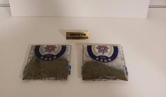 Samsun'da bonzai ele geçti: 2 gözaltı